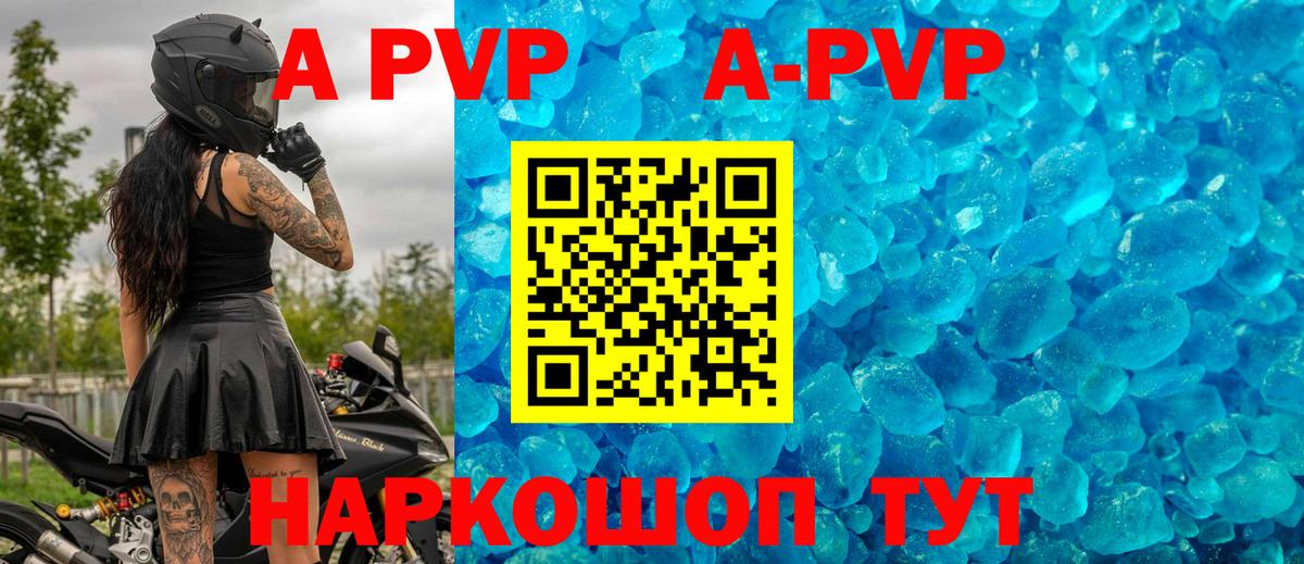 A-PVP СК Старая Русса