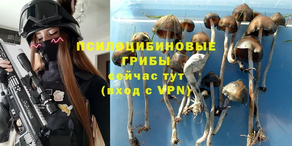 герыч Абаза