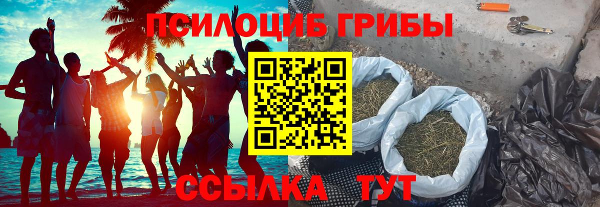 Псилоцибиновые грибы Psilocybine cubensis  Псилоцибиновые грибы Psilocybe  Старая Русса  Вход с VPN 