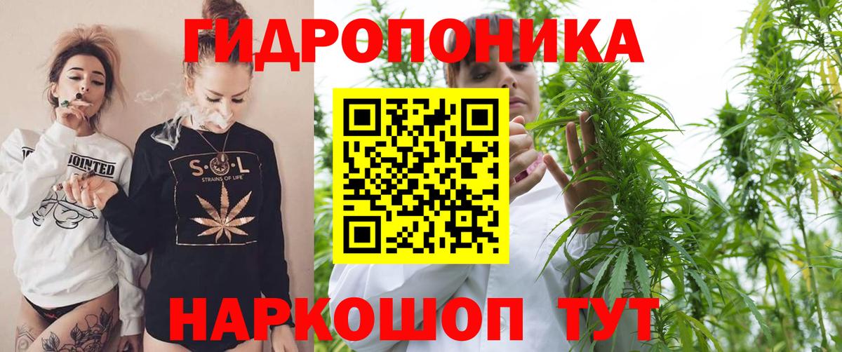 Бошки марихуана сатива Старая Русса